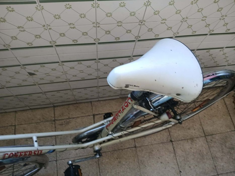 Bicicleta antiga