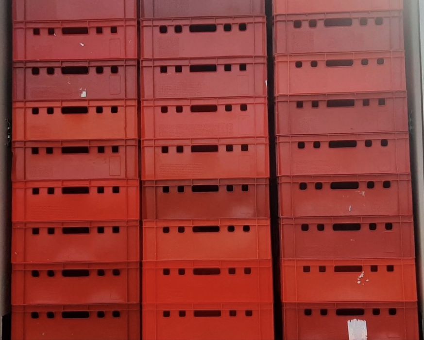 Plastiki euro 2 na mięso