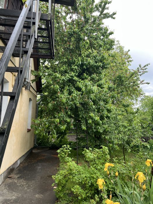 Продаж будинку з утемленням