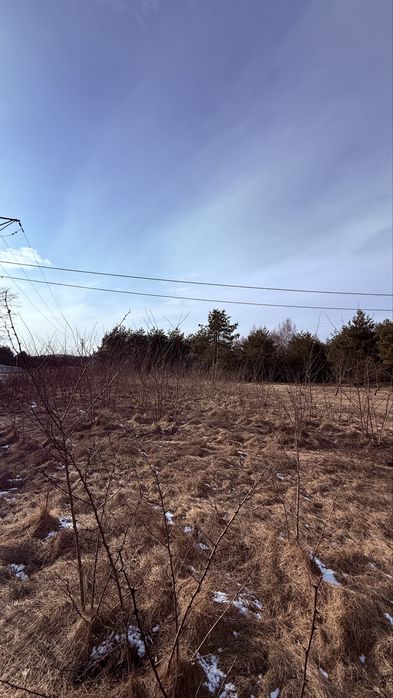 Działka budowlana 1150 m² – Rosocha-Kolonia | WZ | Lasy | Obrzeża miasta