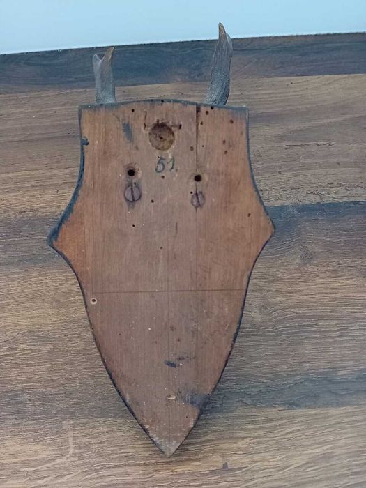 Zabytkowe poroże Klug Berge 10.VI.1916