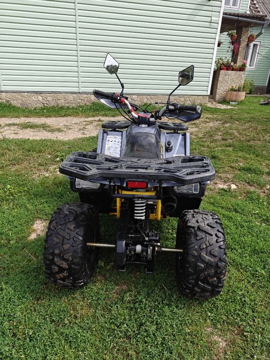 Shark 150cc (539км)