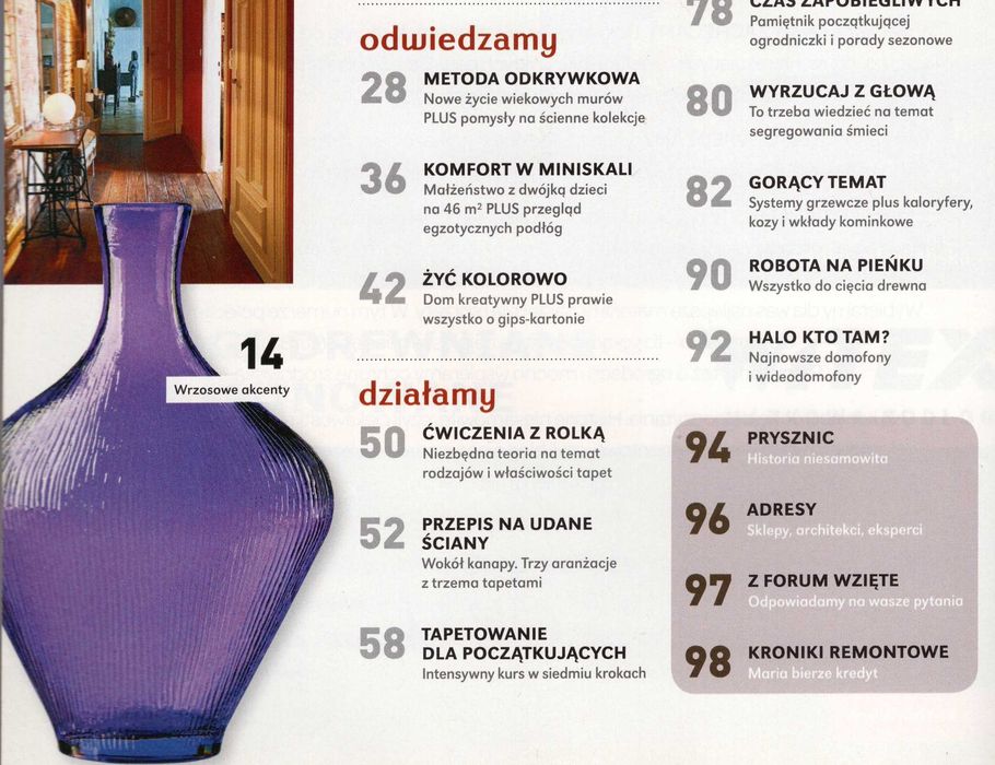 Dom z Pomysłem 1/2008 Kominek kaloryfer czy ogrzewanie podłogowe?