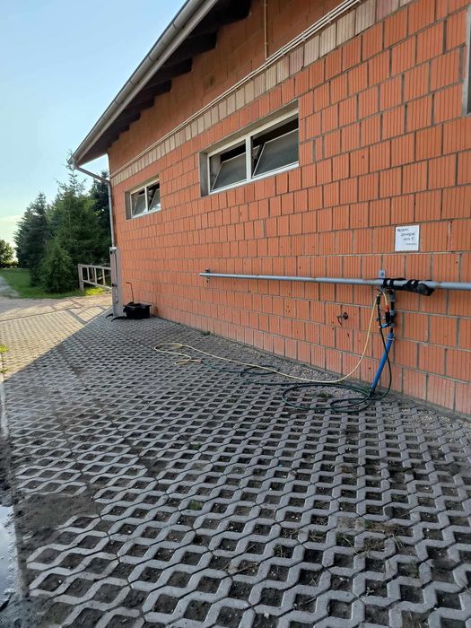 WOLNY BOKS! Pensjonat dla koni