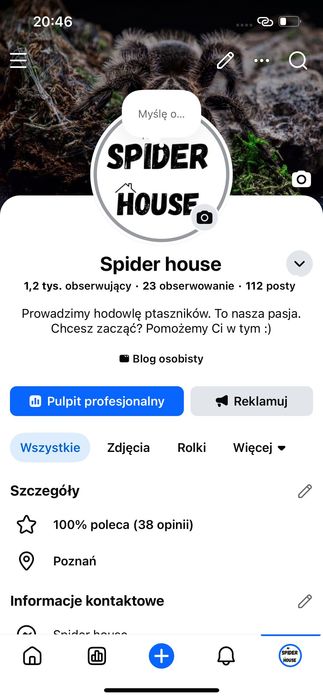 Poecilotheria metallica L5 ptasznik