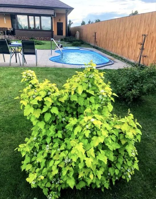 Продам добротный дом в Обуховке