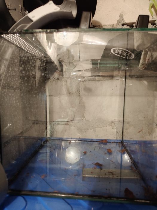 Terrarium na sprzedaż