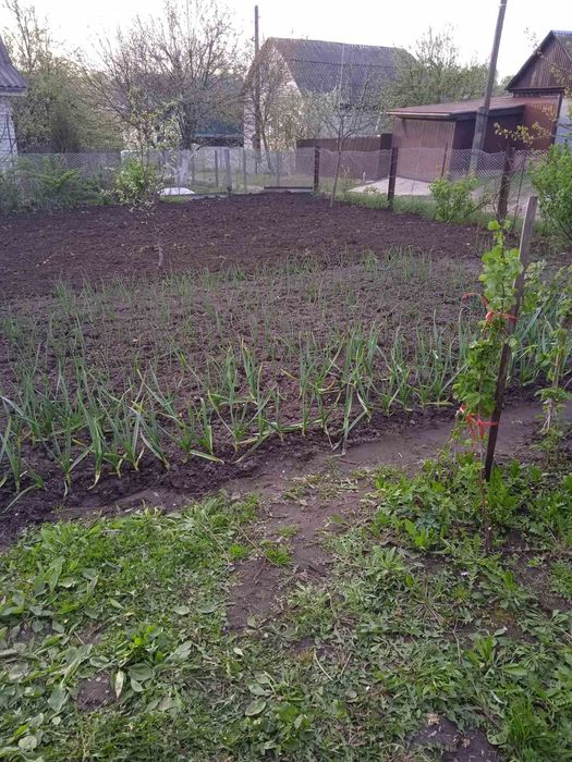 Продам 3х комнатную квартиру.В г Новгород Северске.