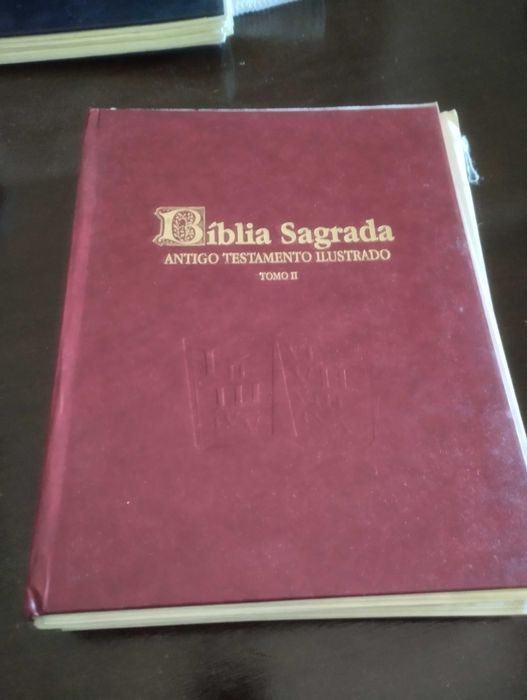 Bíblia Sagrada Antigo Testamento Ilustrado 2 volumes