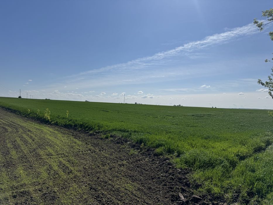 Промисловість.Земельна ділянка 2.917га, траса Луцьк-Дубно