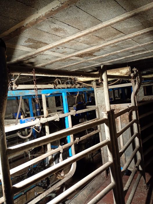 Hala udojowa auto tandem alfa laval 2×2