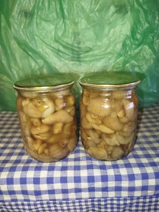 Мариновані гриби