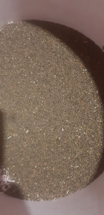 Продам наіння фацелії