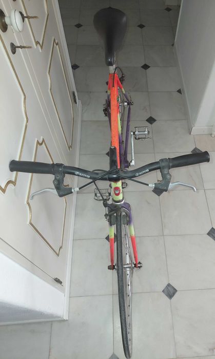 Bicicleta Urbana de Adulto
