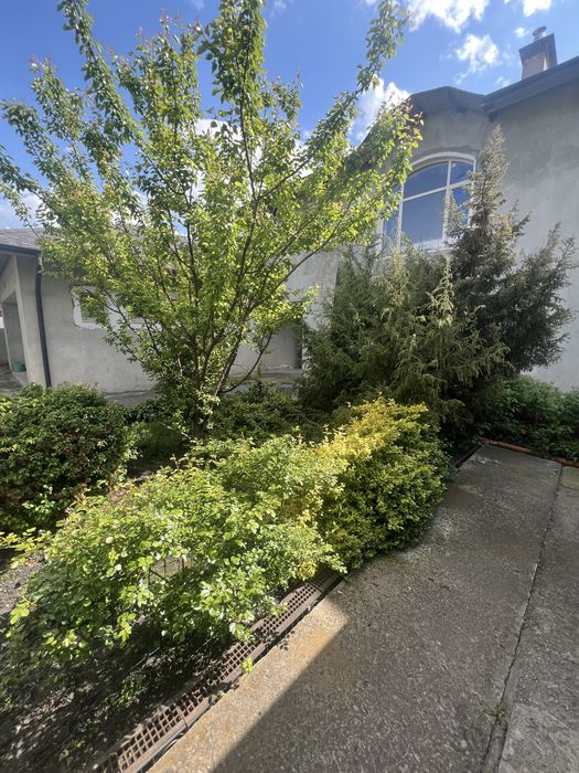 Продаж будинку с. Чайки