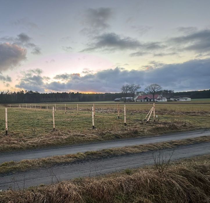 Ogrodzenie tymczasowe, leśne, budowlane