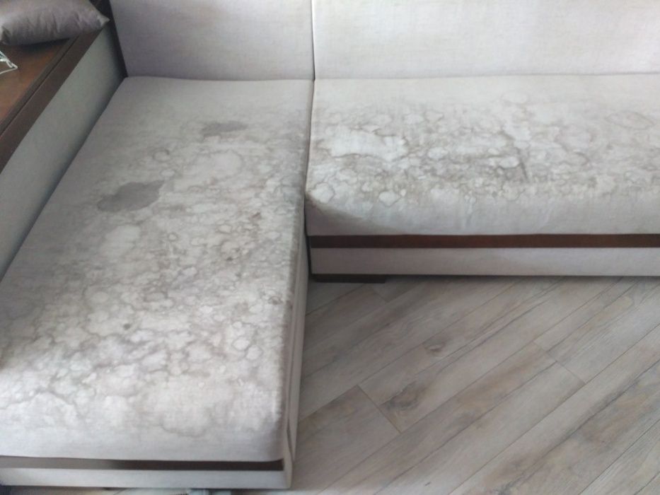 Професійна хімчистка меблів та килимів з виїздом по всій Одесі!