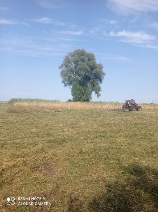 usługi rolnicze koszenie