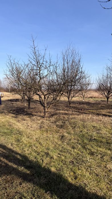 Продаж будинку від Власника!