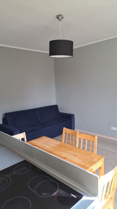 Wymajmę mieszkanie w Osowcu 38m 2 pokoje wynajem- najem okazjonalny