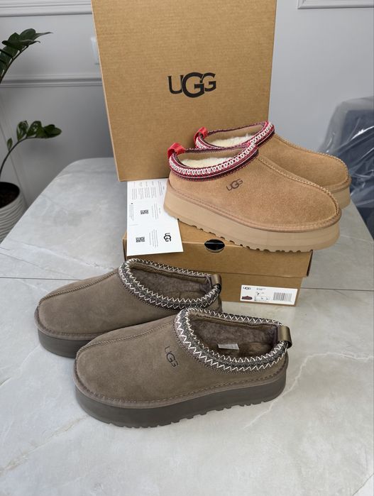 Ugg Tazz уггі угги