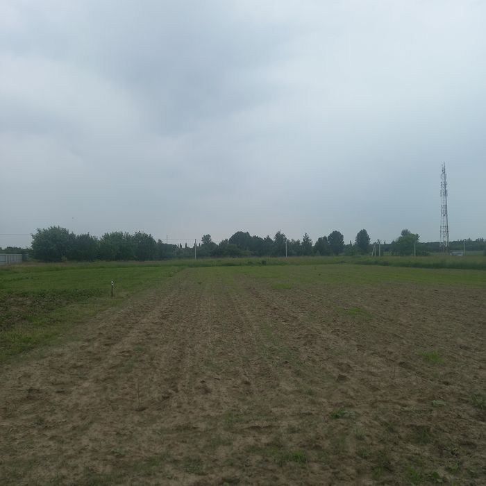 Продам земельну ділянку в с.Крушинка