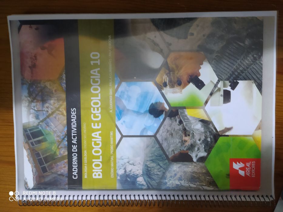 Manuais a cadernos atividades 10 ano