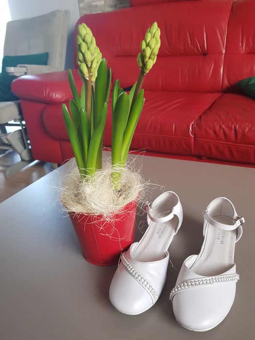 Buty/pantofle komunijne roz. 36 American Club