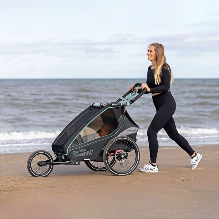 Przyczepka rowerowa Qeridoo Kidgoo 2 Sport Arctic blue
