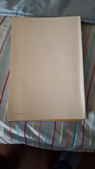 O peregrino de branco papa Paulo VI Fátima