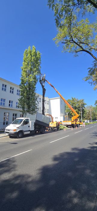 Alpinistyczna wycinka i pielęgnacja drzew, usługi rębakiem i frezarką
