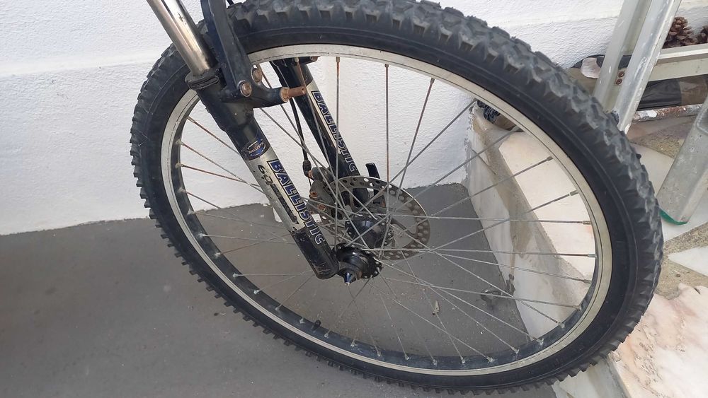 Bicicleta adulto