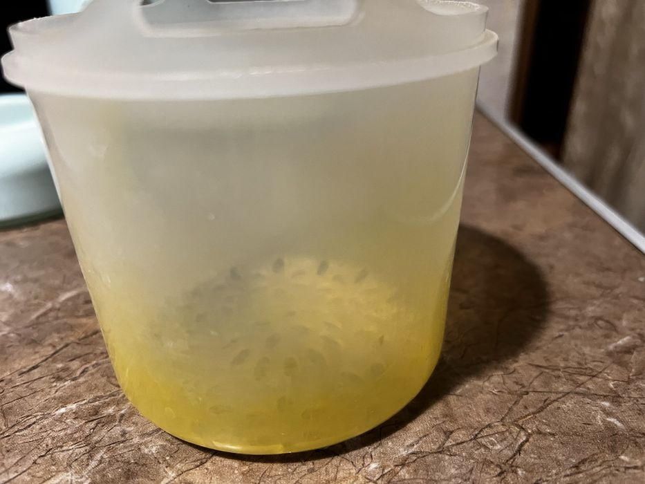 Пароварка-блендер дитяча