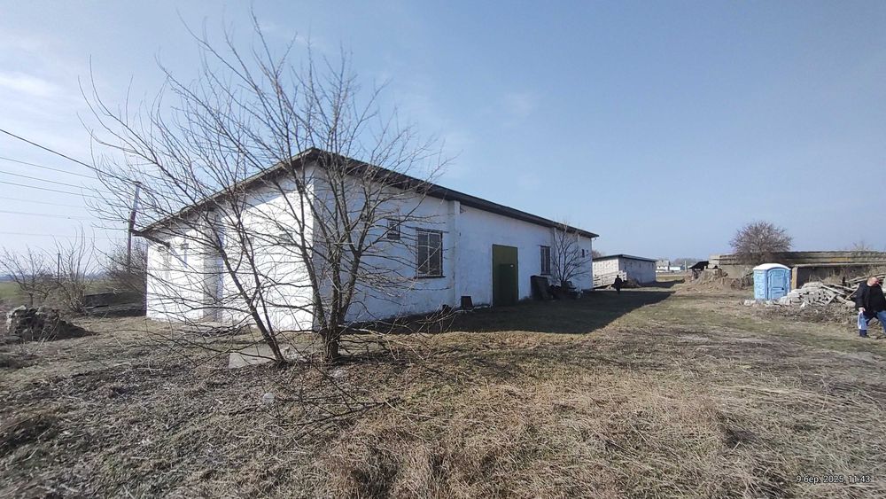 Ферма Свиноферма Скотарство Зерносхови Цех Броварський 600квм 70сот