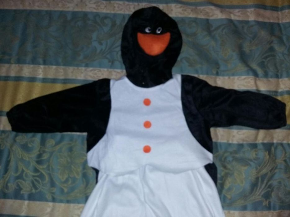 Fato de Carnaval de Pinguim