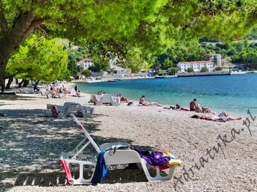 50 m do plaży Chorwacja Drvenik Apartamenty Nocleg Dom Kwatery Wakacje