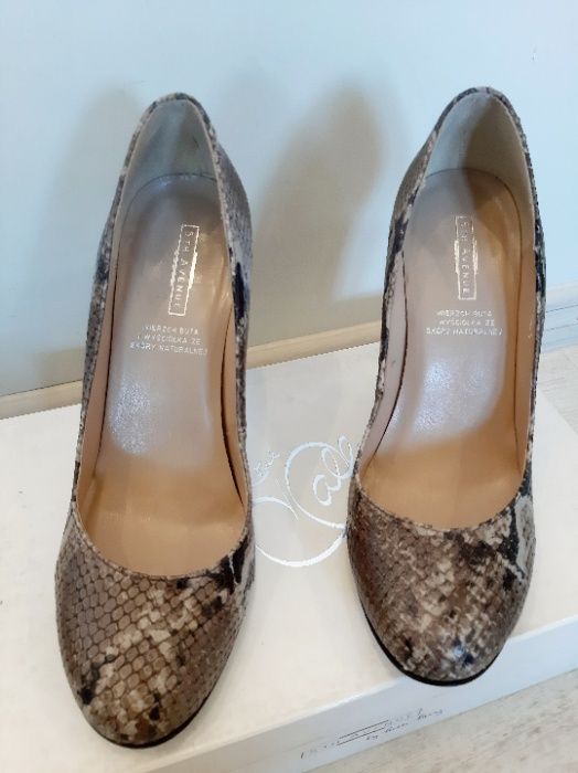 buty, szpilki, skóra krokodyla