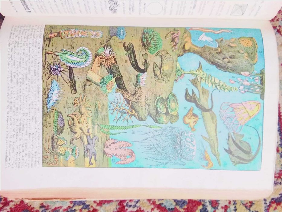 Dicionário Prático Ilustrado (1947 colecionável)