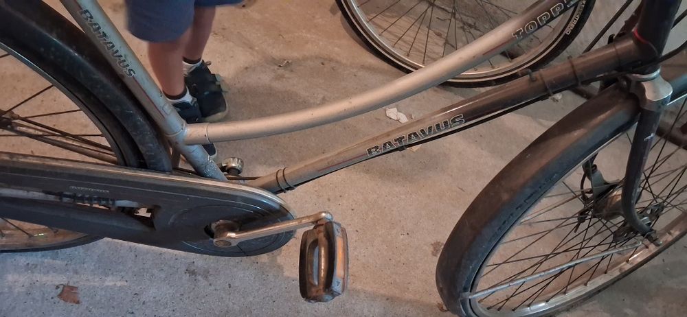 Rower Batavus Topper