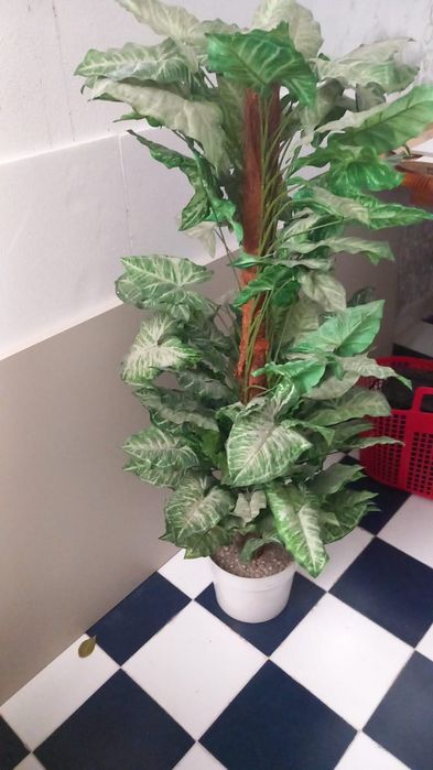 Peças decorativas