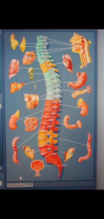 Biorezonans do pracy gabinetowej