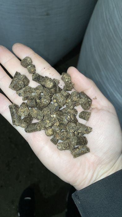 Пілета з відходів соняшника