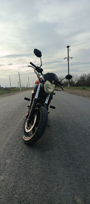 Лифан Дакота  250