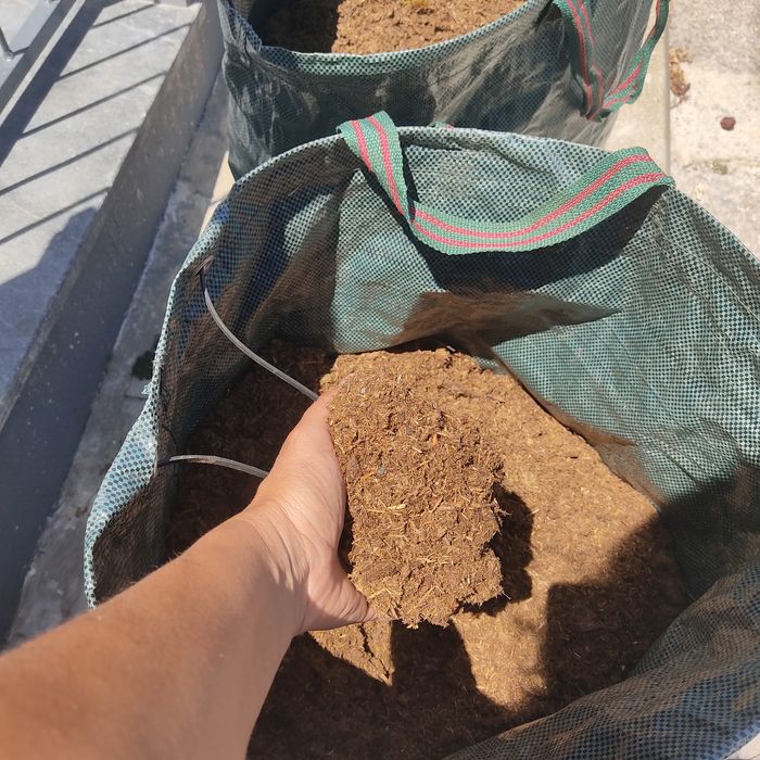 Estrume de cavalo selecionado/limpo