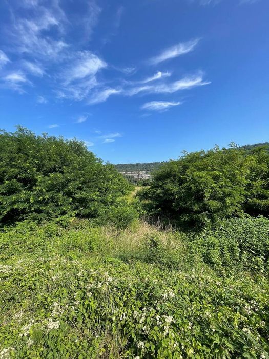 Комерційна земельна ділянка при трасі в с. Невицьке — вигідна інвестиція