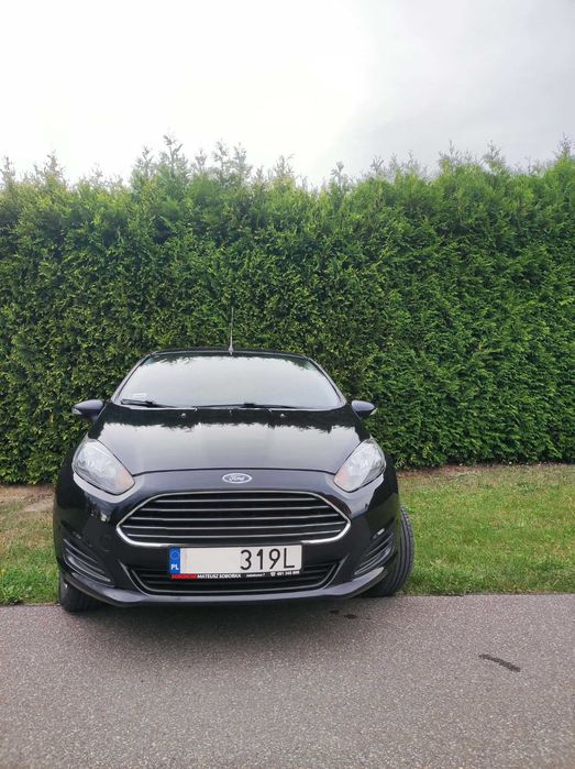 Ford Pozostałe Ford