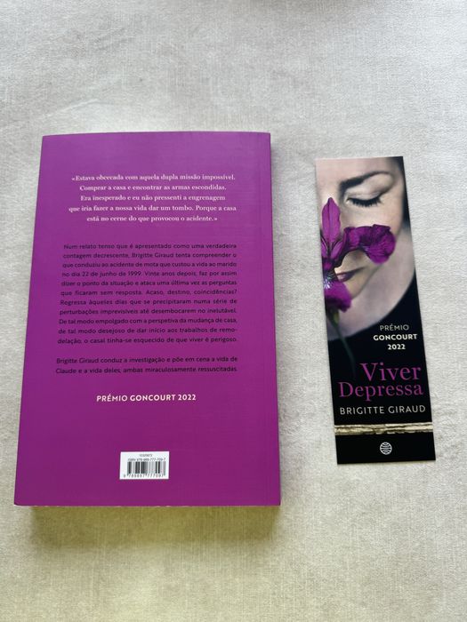 Livro Viver Depressa Brigitte Giraud