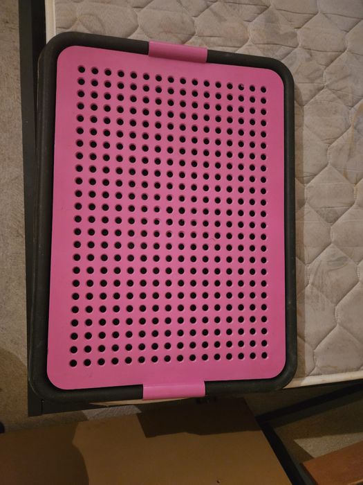 Vaso sanitário para cães