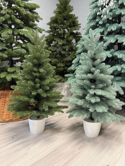 Лита ялинка Бельгійська Преміум ель, елка, сосна, топ!