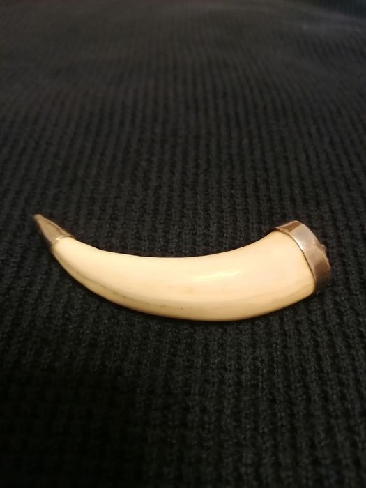 Pendente / amuleto com prata